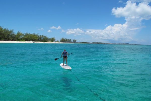 Paddle Board